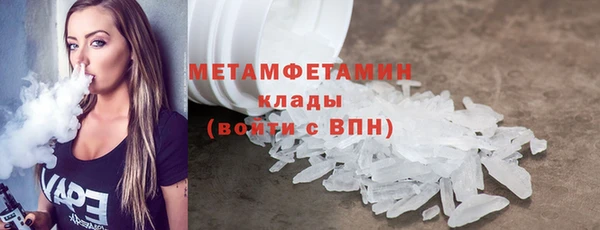 индика Каменногорск