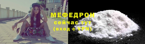 индика Каменногорск