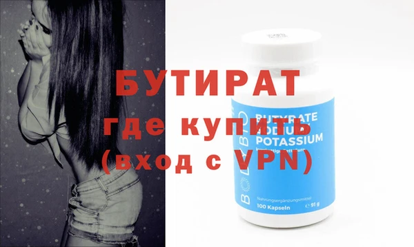 индика Каменногорск
