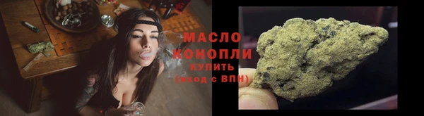 индика Каменногорск