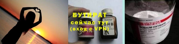 индика Каменногорск