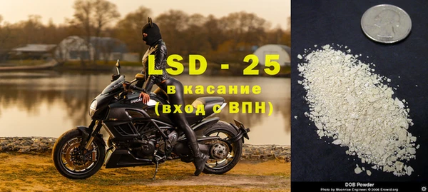 индика Каменногорск