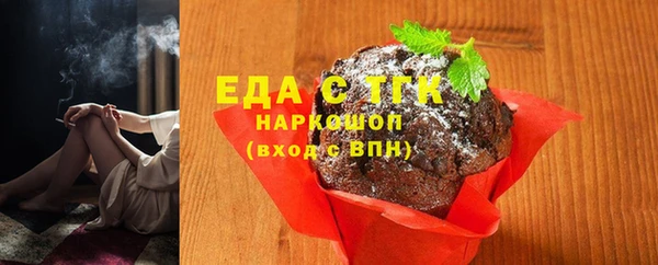 индика Каменногорск