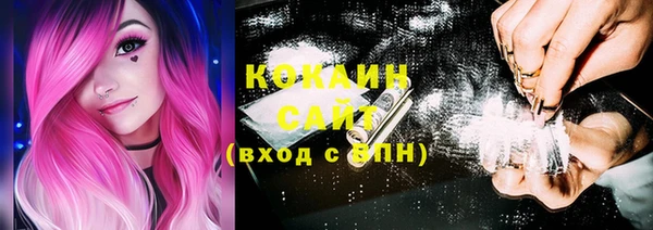 индика Каменногорск