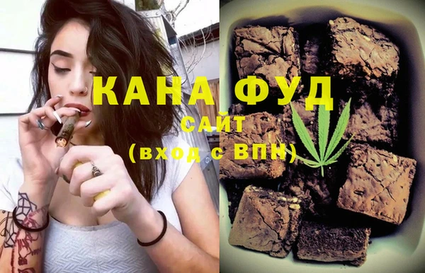 индика Каменногорск