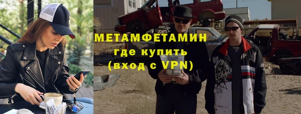 индика Каменногорск