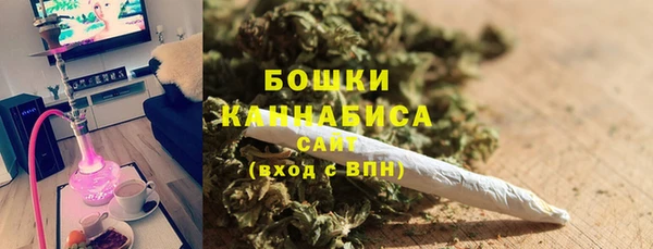 индика Каменногорск