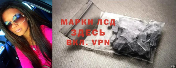 индика Каменногорск