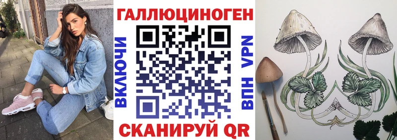 Галлюциногенные грибы GOLDEN TEACHER  Нефтегорск 