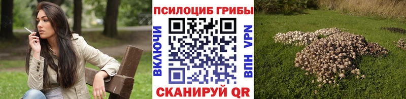 Галлюциногенные грибы мицелий Нефтегорск